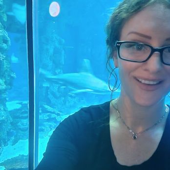 Shark Reef Aquarium at Mandalay Bay - Aquariums Near Me - Las Vegas, Nevada