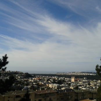 Mount Sutro - View on the east trail coming down - Parks Near Me - San Francisco, California