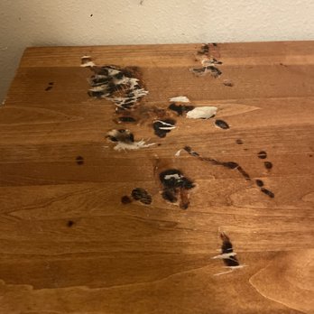 Paragon RV Park - The furniture in the cabin is burned up from drug use. This was even in a non smoking cabin - RV Parks Near Me - Marksville, Louisiana Paragon RV Park - The furniture in the cabin is burned up from drug use. This was even in a non smoking cabin - RV Parks Near Me - Marksville, Louisiana