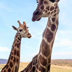 Lake Tobias Wildlife Park