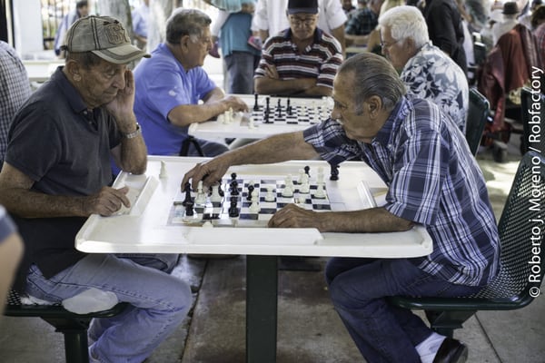 Domino Park by null