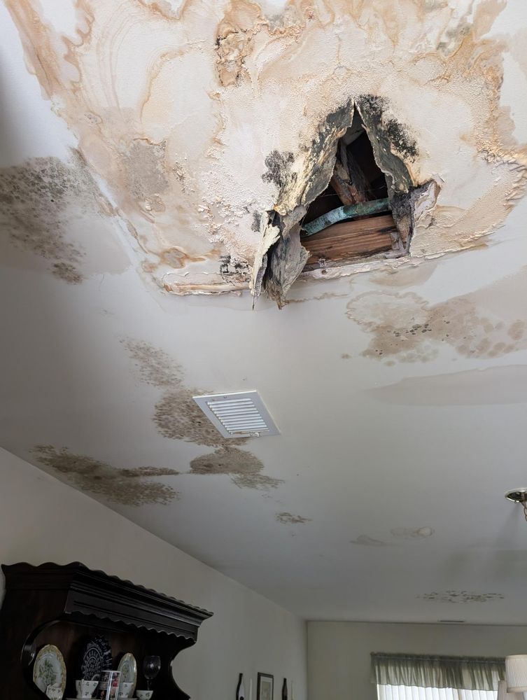 Air Quality Insights - mold inspector in Brookhaven, NY