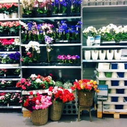 Plantasjen Vinderen - Plastblomster