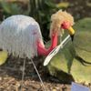 Flamingo Gardens gift card