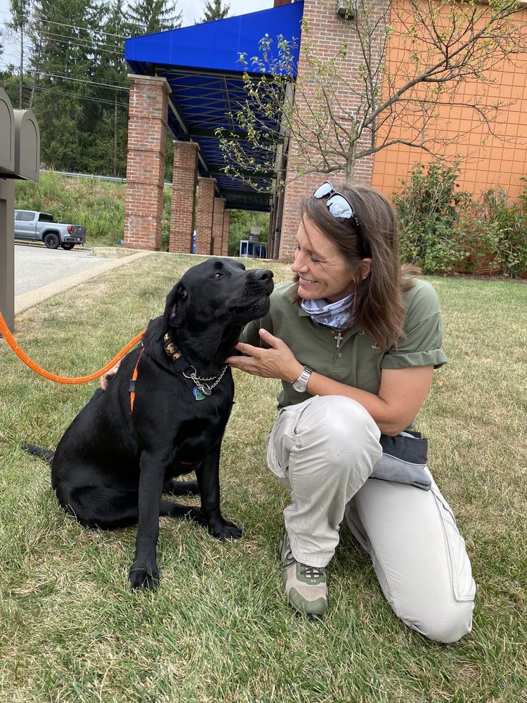 MUTTS OF MERIT Updated August 2024 Indiana, Pennsylvania Pet