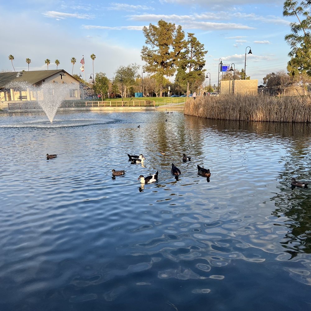 Wilderness Park - Duck pond - Parks Near Me - Downey, California Wilderness Park - Duck pond - Parks Near Me - Downey, California