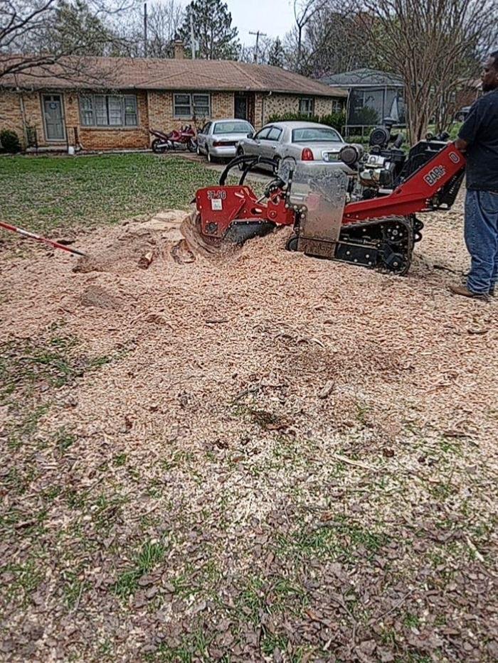 Chief Tree Service - tree service in Huntsville, AL