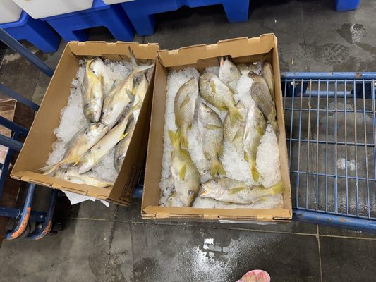 Restaurant Depot by null