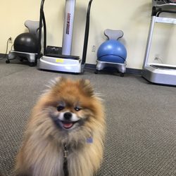 RomGym - 1/20/2020 the pet friendly only 8min