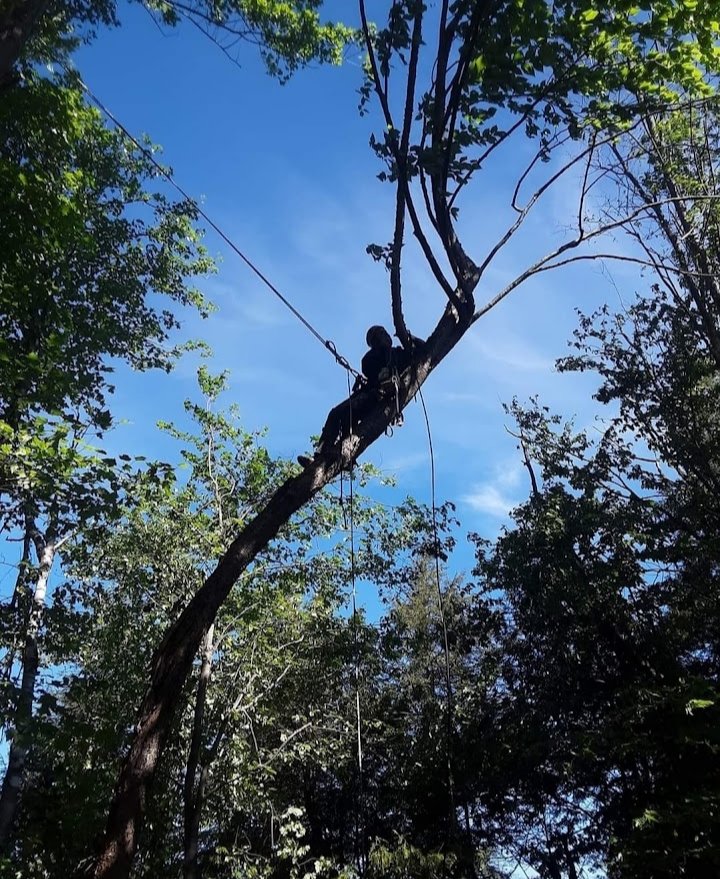 Slide of Jamie VanEtten