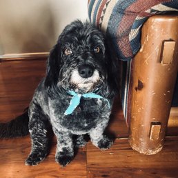 Zachary all clean and petty Zachary all clean and petty