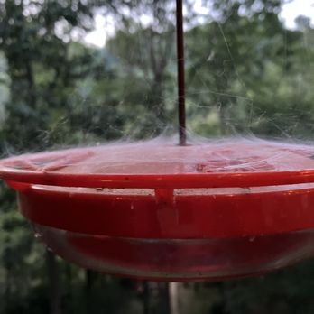 Blue Sky Cabin Rentals - Nice feeder for the poor hummingbirds - Vacation Rentals Near Me - Ellijay, Georgia Blue Sky Cabin Rentals - Nice feeder for the poor hummingbirds - Vacation Rentals Near Me - Ellijay, Georgia