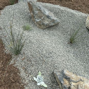 The Standard Design Group Nurseries - Dry river rock bed (a water retention feature for low water landscaping). Megan tucked a few plants into the rocks for a cute natural look. - Nurseries & Gardening Near Me - Pasadena, California The Standard Design Group Nurseries - Dry river rock bed (a water retention feature for low water landscaping). Megan tucked a few plants into the rocks for a cute natural look. - Nurseries & Gardening Near Me - Pasadena, California