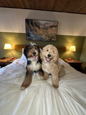 Station House Inn South Lake Tahoe, by Oliver by null