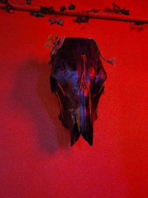 Black Magic Social Club by null