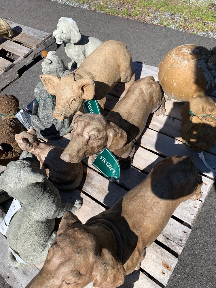 BRAFFORD’S GREENHOUSES Nurseries & Gardening 217 Old Airport Rd