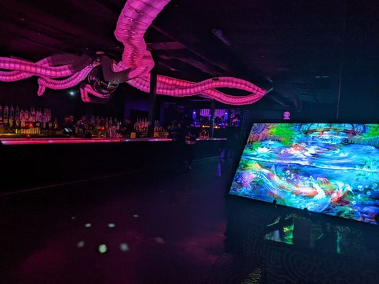 Discopussy by null