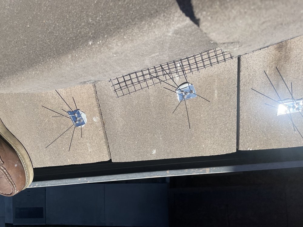 Slide of Lukas Pigeon Removal & Gutter Cleaning