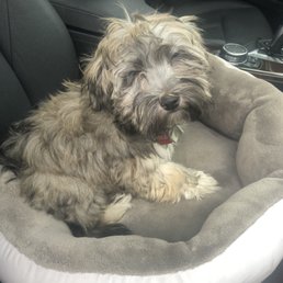 Bailey Bear Bailey Bear