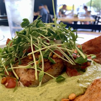 Pita Jungle - Mahi* & Pita Chips wood-fired mahi-mahi, cilantro jalapeno hummus, pico de gallo, toasted pine nuts, sprouts, lemon, seasoned pita chips - Mediterranean Near Me - Peoria, Arizona Pita Jungle - Mahi* & Pita Chips wood-fired mahi-mahi, cilantro jalapeno hummus, pico de gallo, toasted pine nuts, sprouts, lemon, seasoned pita chips - Mediterranean Near Me - Peoria, Arizona