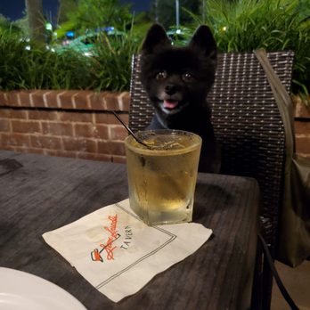 Sam Snead's Tavern - Pet friendly - Steakhouses Near Me - Savannah, Georgia Sam Snead's Tavern - Pet friendly - Steakhouses Near Me - Savannah, Georgia