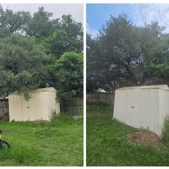 Central Texas Arbor Care - Tree Services Near Me