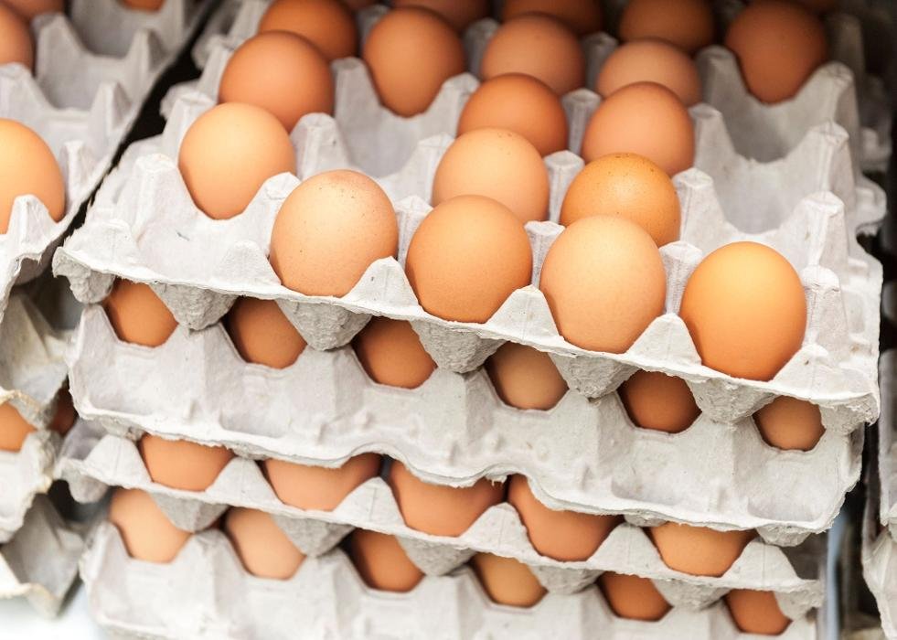 HAMPDEN PARK COOP Updated September 2024 38 Photos & 26 Reviews