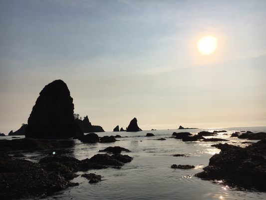 Shi Shi Beach by null