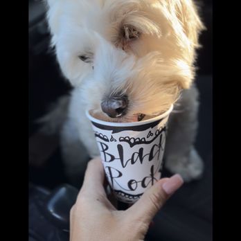 Black Rock Coffee Bar - They're our fave!!! - Coffee & Tea Near Me - Richmond, Texas