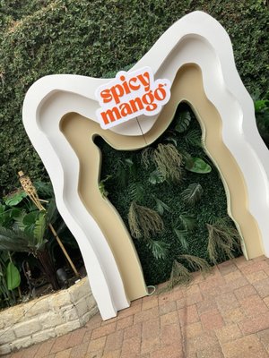 Spicy Mango by null