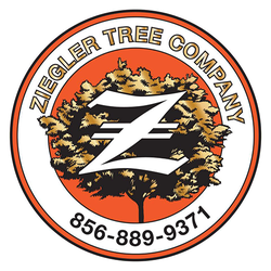 Ziegler Tree Company - Ziegler Tree Company