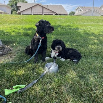 Smokin Barrel BBQ - Pups chilling out - Barbeque Near Me - Omaha, Nebraska
