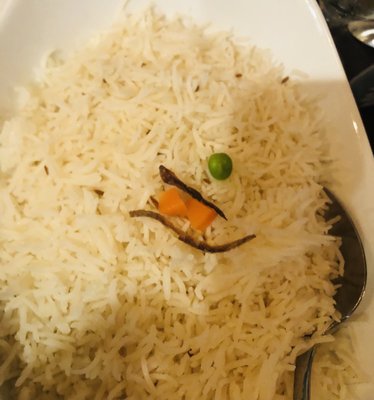 Raja Indian Cuisine & Bar by null