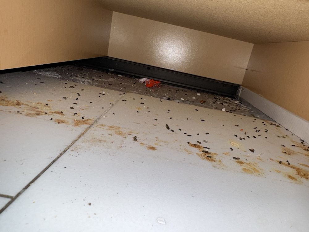 Bc Exterminating Services