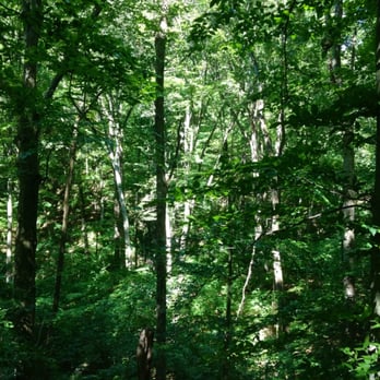 Big Walnut Nature Preserve - Scenic views. - Hiking Near Me