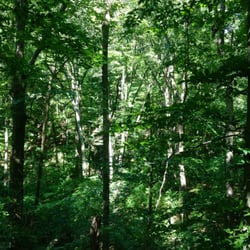 Big Walnut Nature Preserve - Scenic views.