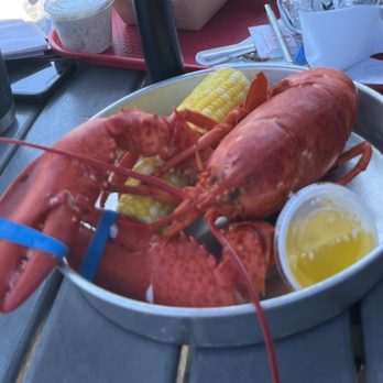 Thurston's Lobster Pound - Pound and a half lobster. - Seafood Near Me - Bernard, Maine