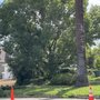 Photo of Danny's Lawn & Tree Service