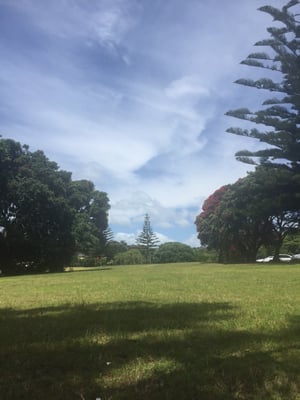 Long Bay Regional Park by null