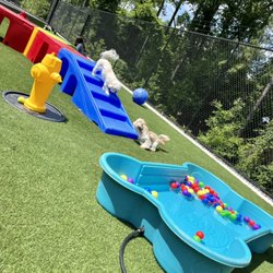 Pet Play Place - Toy dog play