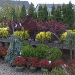 Turtle Creek Nursery & Landscaping