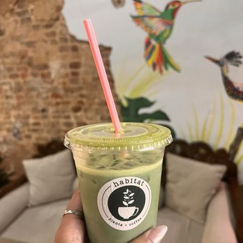 Habitat Plants + Coffee - The "Les-Berry" - Coffee & Tea Near Me - McKinney, Texas