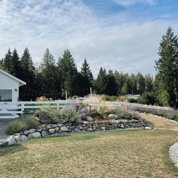 Purple Robe Lavender Farm - Attraction Farms Near Me - Arlington, Washington Purple Robe Lavender Farm - Attraction Farms Near Me - Arlington, Washington