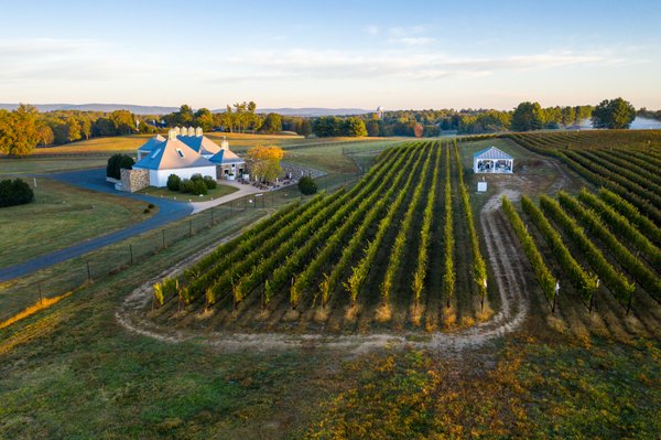 Boxwood Estate Winery by null