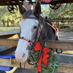 Middleton Equestrian Center