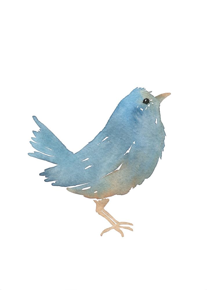 Urban Bluebird Hair Studio Logo