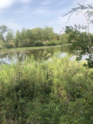 Trinity River Audubon Center by null