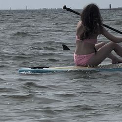 We saw several dolphins and this one swam along side my daughter!
