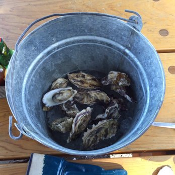 Westcott Bay Shellfish Company - Dozen oysters, or I called it "lunch" - Seafood Markets Near Me - Friday Harbor, Washington Westcott Bay Shellfish Company - Dozen oysters, or I called it "lunch" - Seafood Markets Near Me - Friday Harbor, Washington