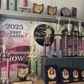 All-Around Gymnastics Academy - Champions in the making... - Mentor, Ohio All-Around Gymnastics Academy - Champions in the making... - Mentor, Ohio